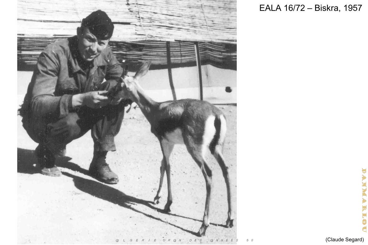 190- ARMEE DE L'AIR EN ALGERIE 1945-1962-38 (79).jpg